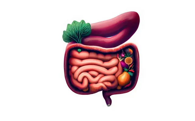 Zašto zdravlje “počinje” iz crijeva